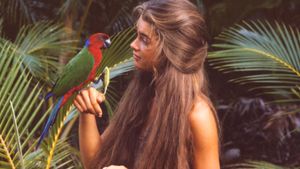 The Blue Lagoon's poster