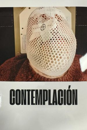 Contemplation's poster