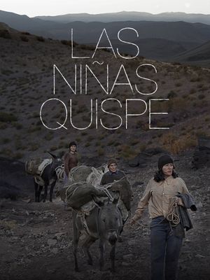 The Quispe Girls's poster
