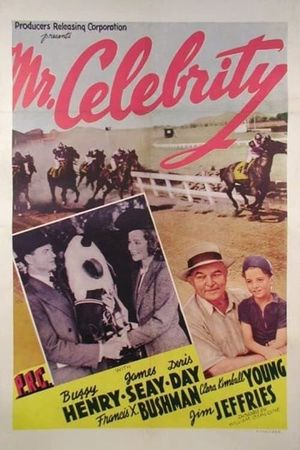 Mr. Celebrity's poster