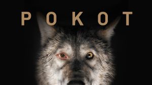 Spoor's poster