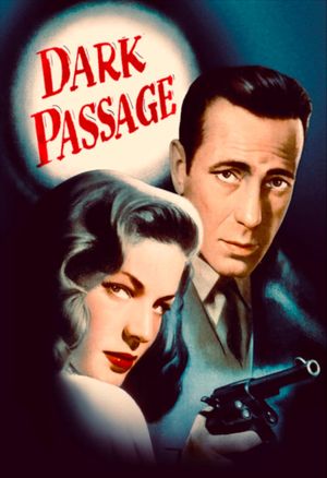 Dark Passage's poster