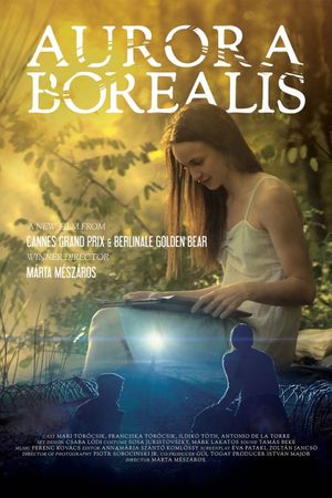 Aurora Borealis: Northern Light's poster