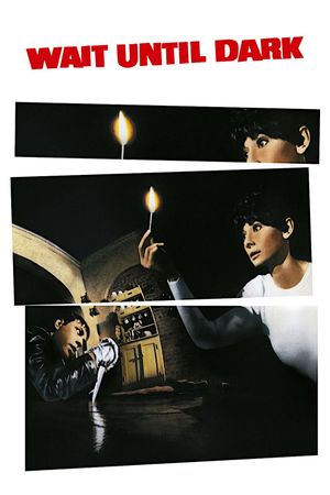 Wait Until Dark's poster