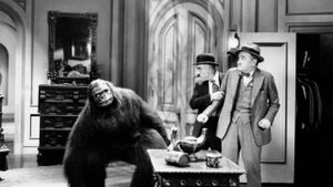 The Gorilla's poster