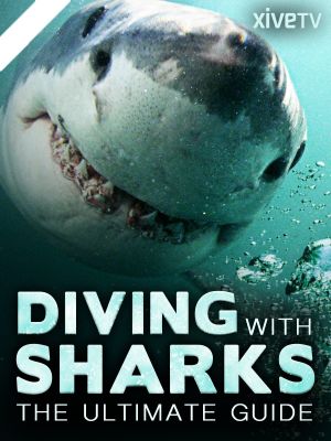 Diving with Sharks: The Ultimate Guide's poster