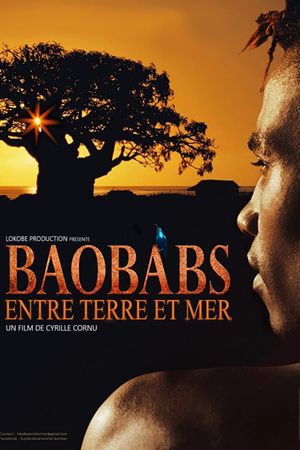 Baobabs between Land and Sea's poster