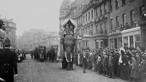 The Tragic Story of Fritz the Elephant's poster