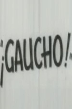¡Gaucho!'s poster