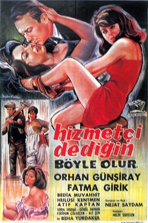 Hizmetçi Dedigin Böyle Olur's poster