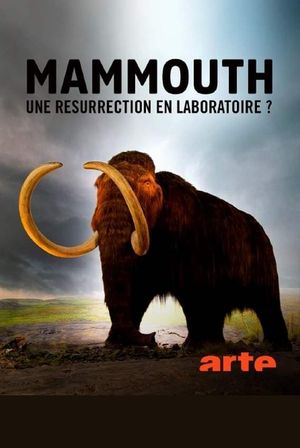 Le mammouth, une résurrection en laboratoire ?'s poster