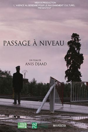 PASSAGE A NIVEAU's poster image