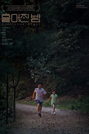 Scattered Night's poster