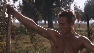 Cool Hand Luke's poster