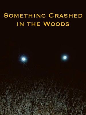 Something Crashed in the Woods's poster