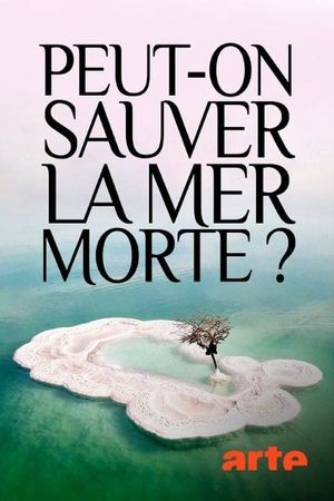 Peut-on sauver la mer Morte ?'s poster