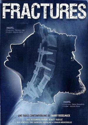 Fractures's poster