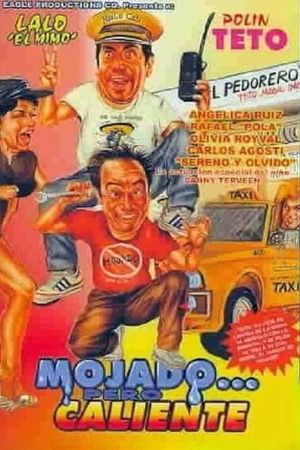 Mojado... pero caliente's poster