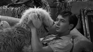 The Shaggy Dog's poster