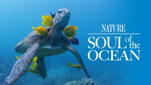 Soul of the Ocean's poster