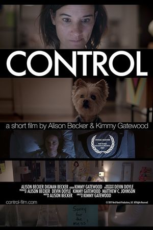 Control's poster
