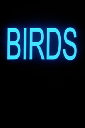 Birds's poster