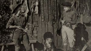 Outwitting the Timber Wolf's poster