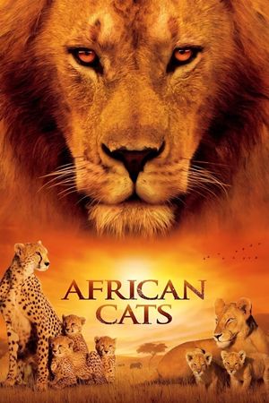 African Cats's poster