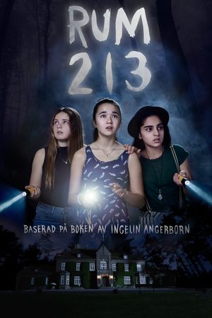 Rum 213's poster