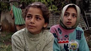 Jenin, Jenin's poster