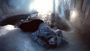 Ice Palace's poster