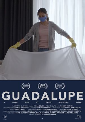 Guadalupe's poster
