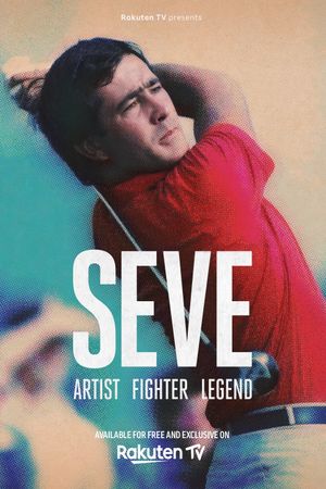 SEVE Artist Fighter Legend's poster