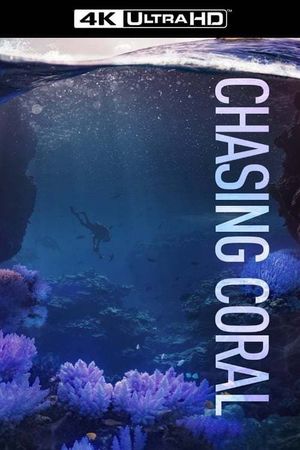 Chasing Coral's poster