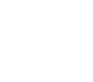 Million Dollar Pigeons's poster