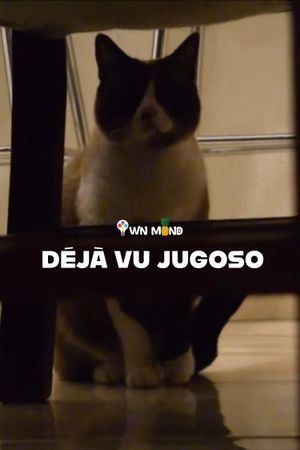 A Juicy Deja Vu's poster image
