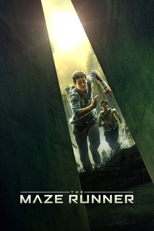 The Maze Runner's poster
