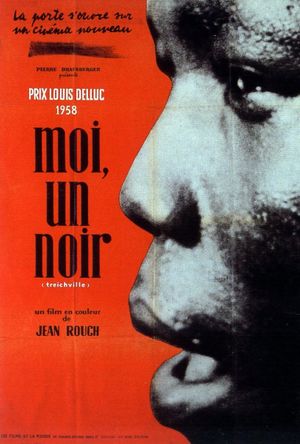 Moi, un noir's poster