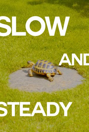 Slow and Steady's poster