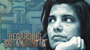 Regarding Susan Sontag's poster
