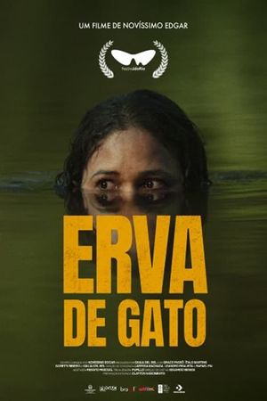 Erva de Gato's poster image