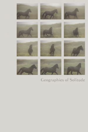 Geographies of Solitude's poster