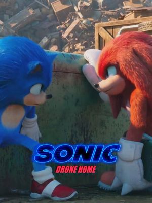Sonic Drone Home's poster