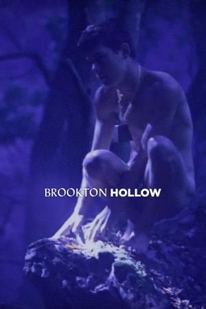 Brookton Hollow's poster