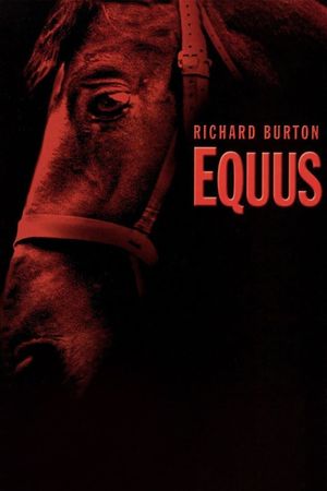 Equus's poster