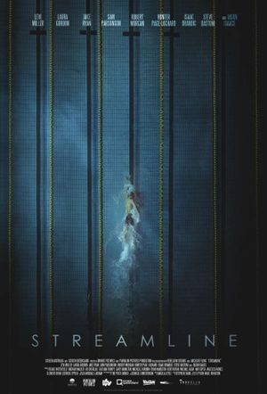 Streamline's poster