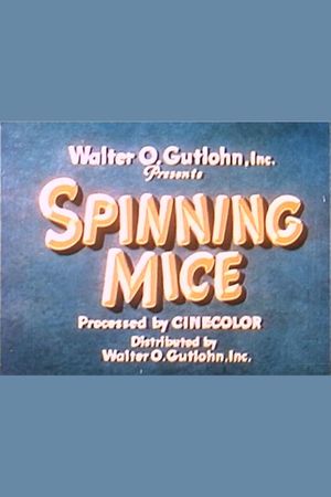 Spinning Mice's poster