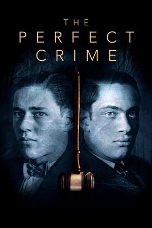 The Perfect Crime: Leopold & Loeb's poster