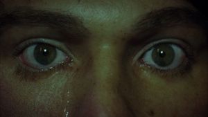 House of Wax's poster