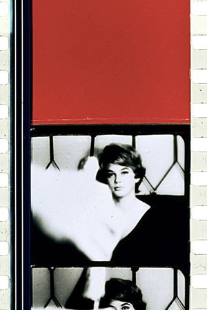 Schwechater's poster image